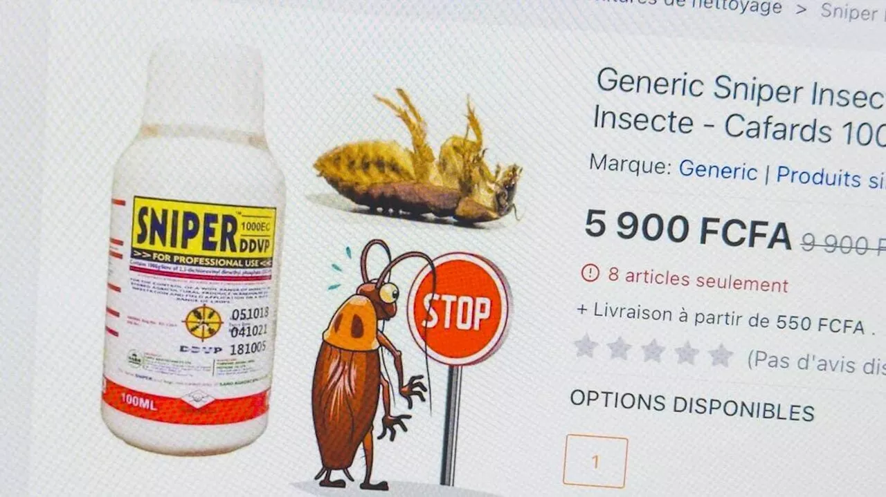 Punaises de lit : les autorités alertent sur l’utilisation d’un insecticide interdit en France