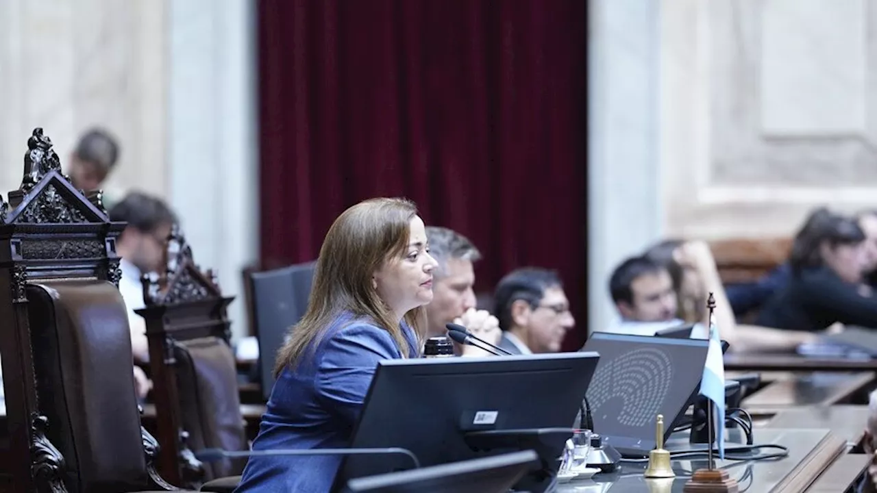 Si hay veto, hay sesión: diputados opositores preparan el rechazo en Diputados