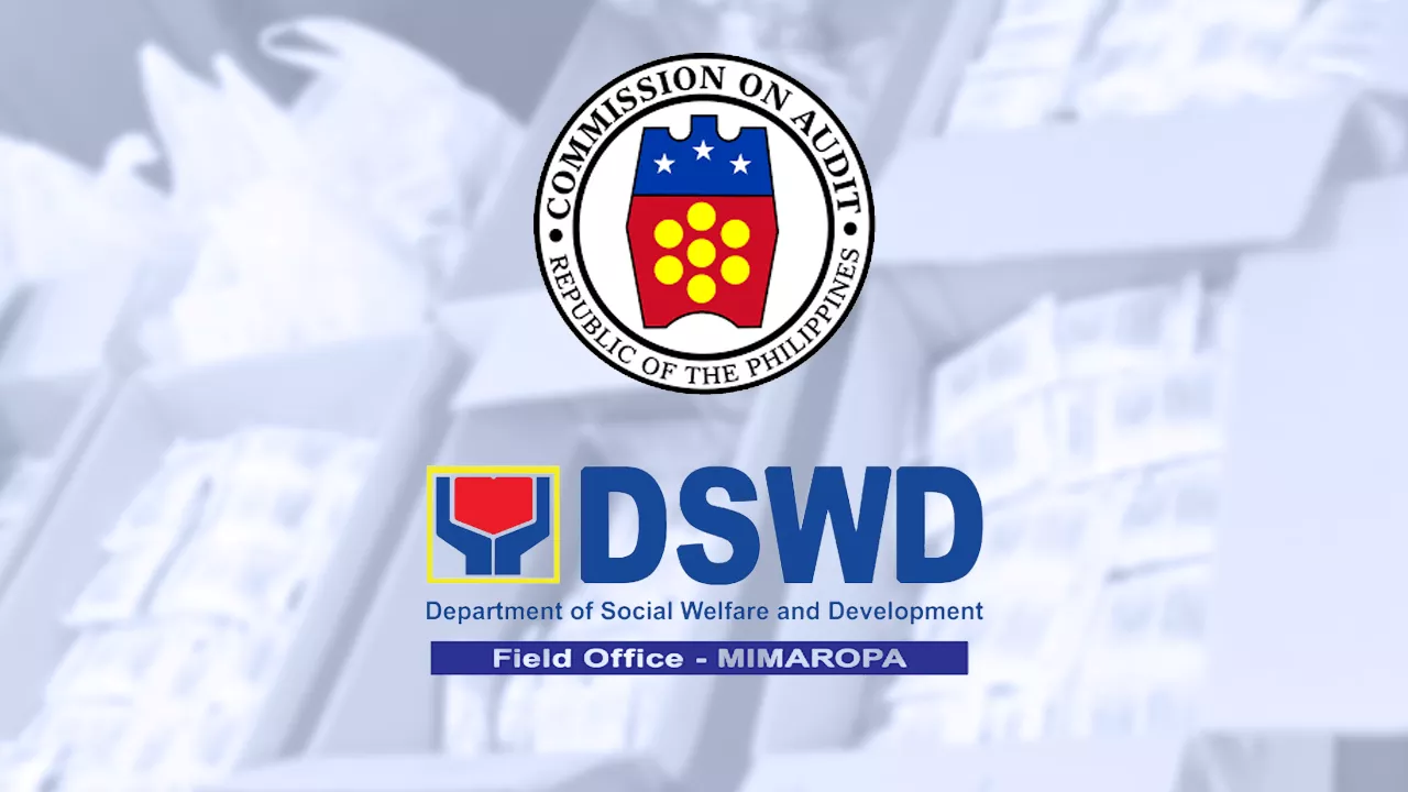 Pandemic-era food supplier wins P12.73-M claim vs DSWD Mimaropa