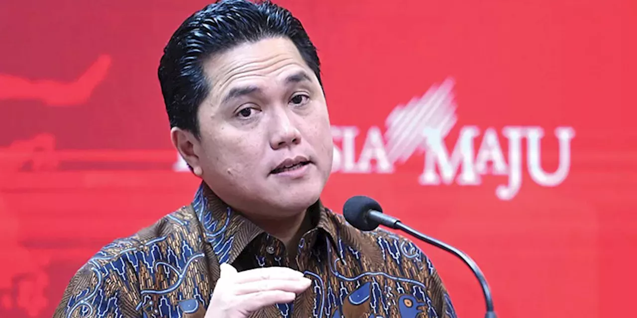 Erick Thohir Lebih Banyak Urus Politik Ketimbang Bisnis BUMN