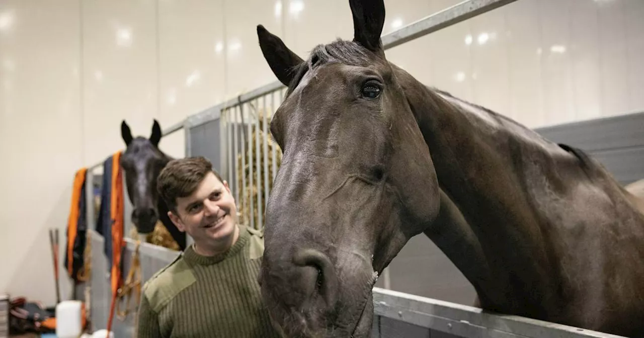 Pferd aus dem Trauerzug der Queen bekommt Auszeichnung