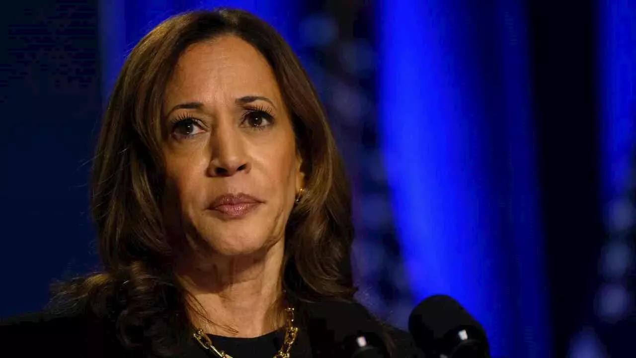 Netflix cancellations nearly triple after cofounder endorses Kamala