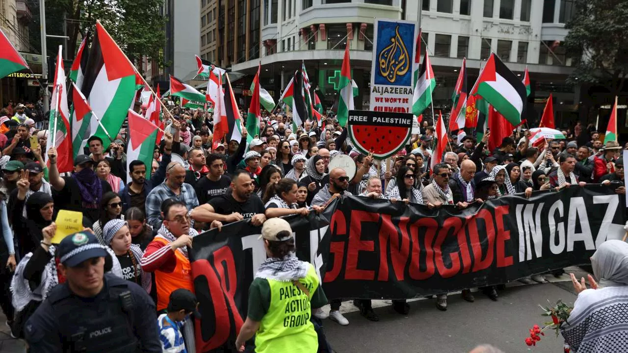 Pro-Palestine group hits out with protest declaration as police seek court intervention