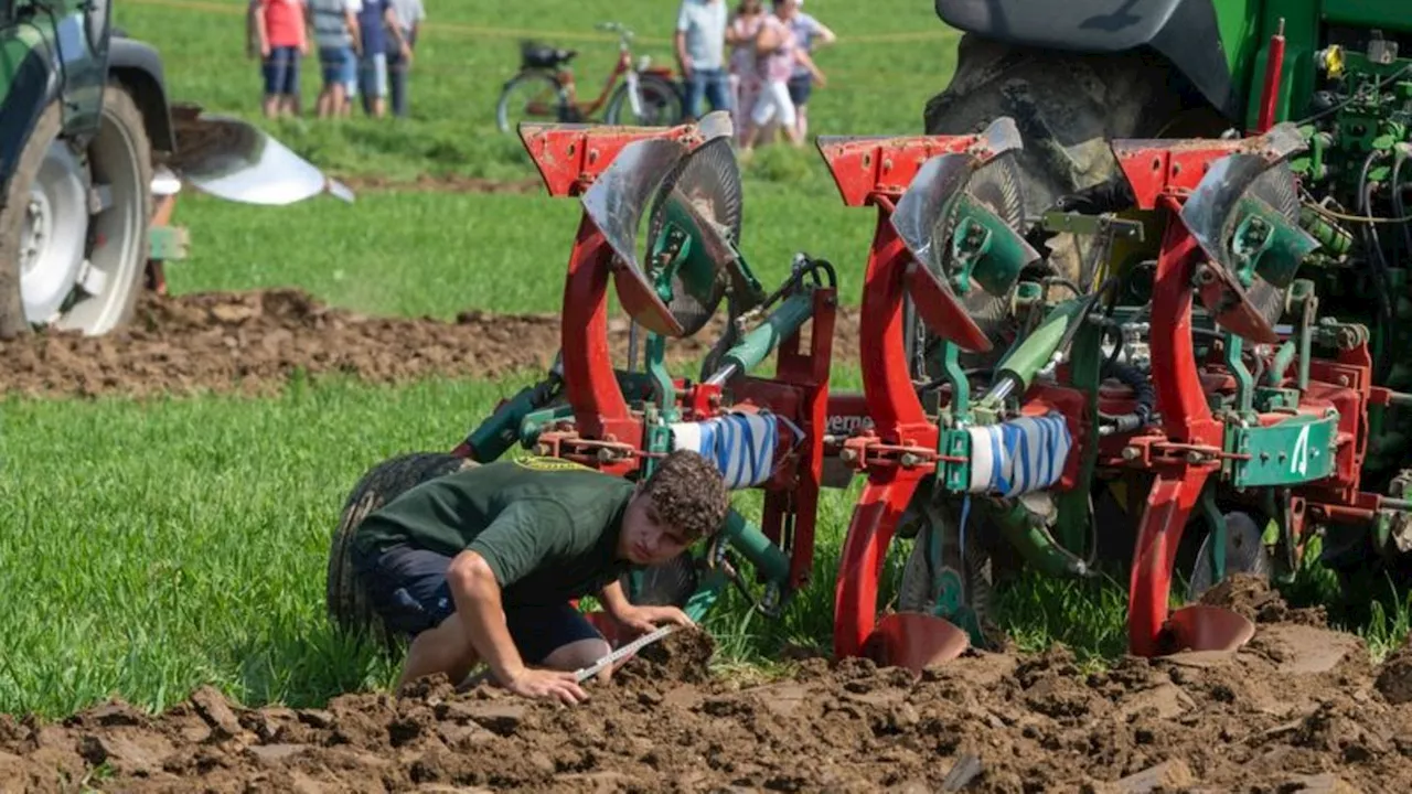 Agrar: Zahl der Beschäftigten in der Landwirtschaft geht zurück