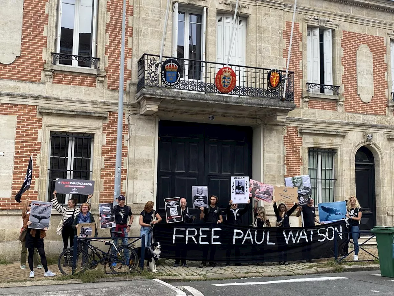 Affaire Paul Watson : des militants de Sea Shepherd manifestent devant le consulat du Danemark à Bordeaux