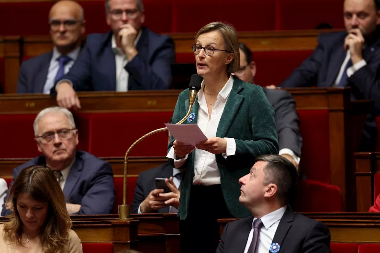 Gouvernement trop à droite, liens avec le RN... La députée Stella Dupont claque la porte du groupe macroniste