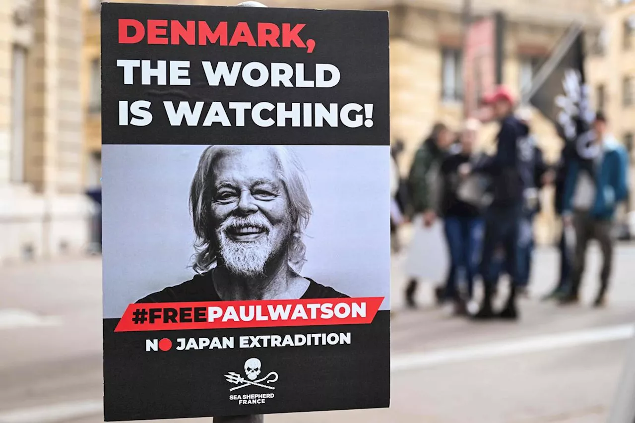 Paul Watson : la détention au Groenland du militant écologiste prolongée jusqu’au 23 octobre