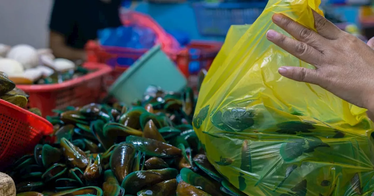 200 kilo tahong sakmit gumikan sa red tide Philippines