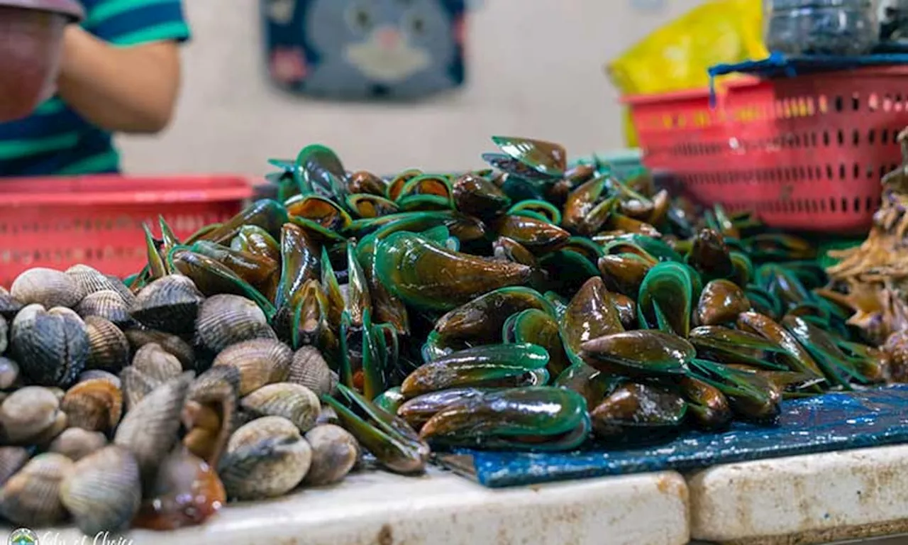 276 Kilograms Of Mussels Confiscated In Digos City Due To Potential Red Tide Contamination