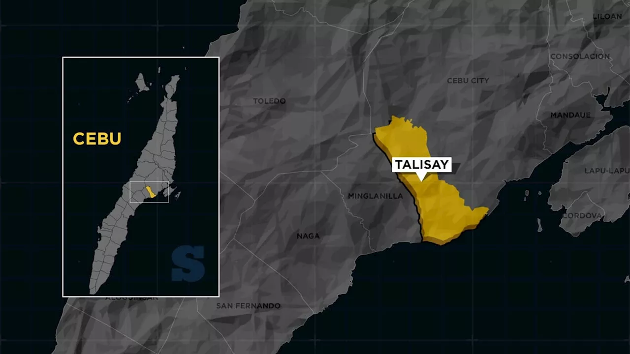 P340,000 shabu, guns seized in Talisay City buy-bust 