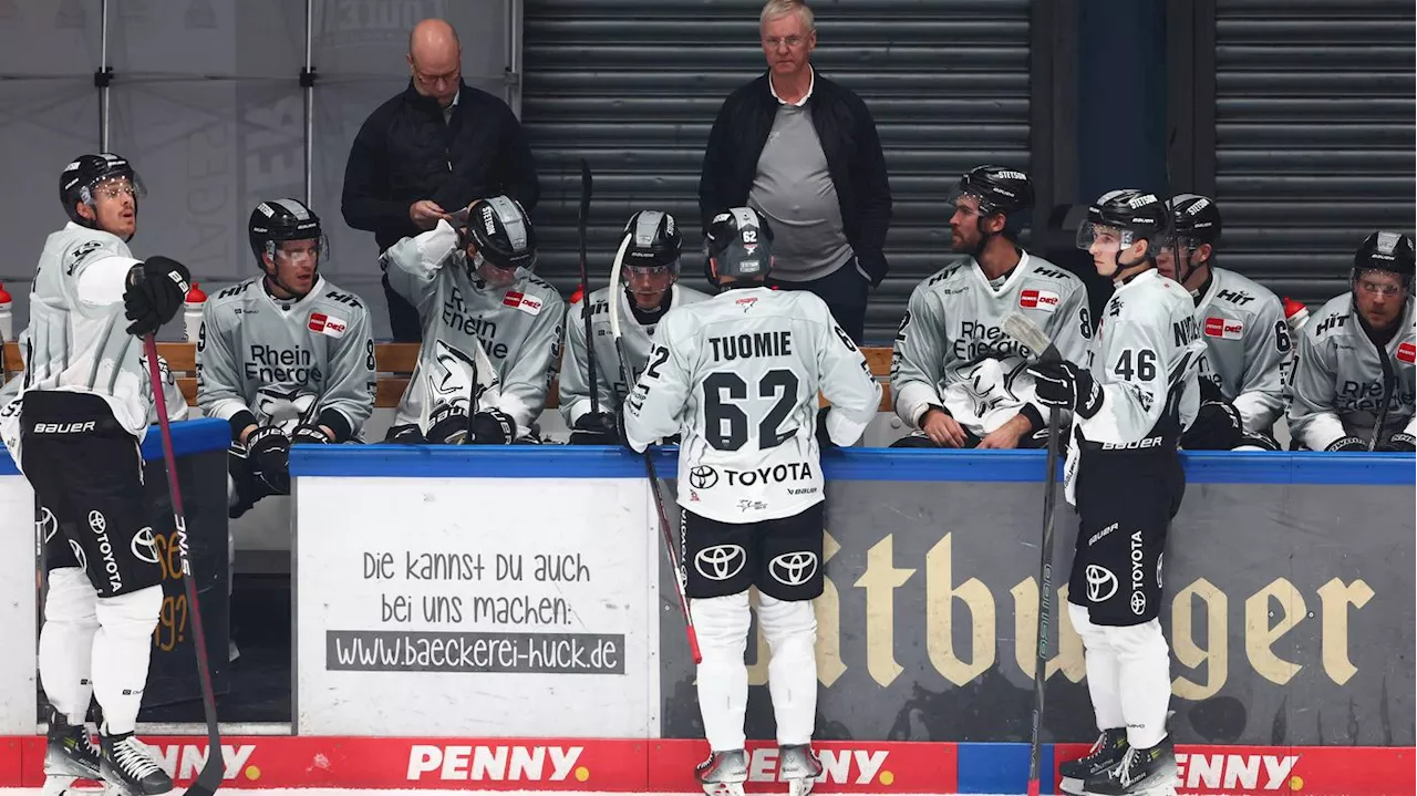 Deutsche Eishockey-Liga: Die Eisbären werden Meister, die Haie irgendwas