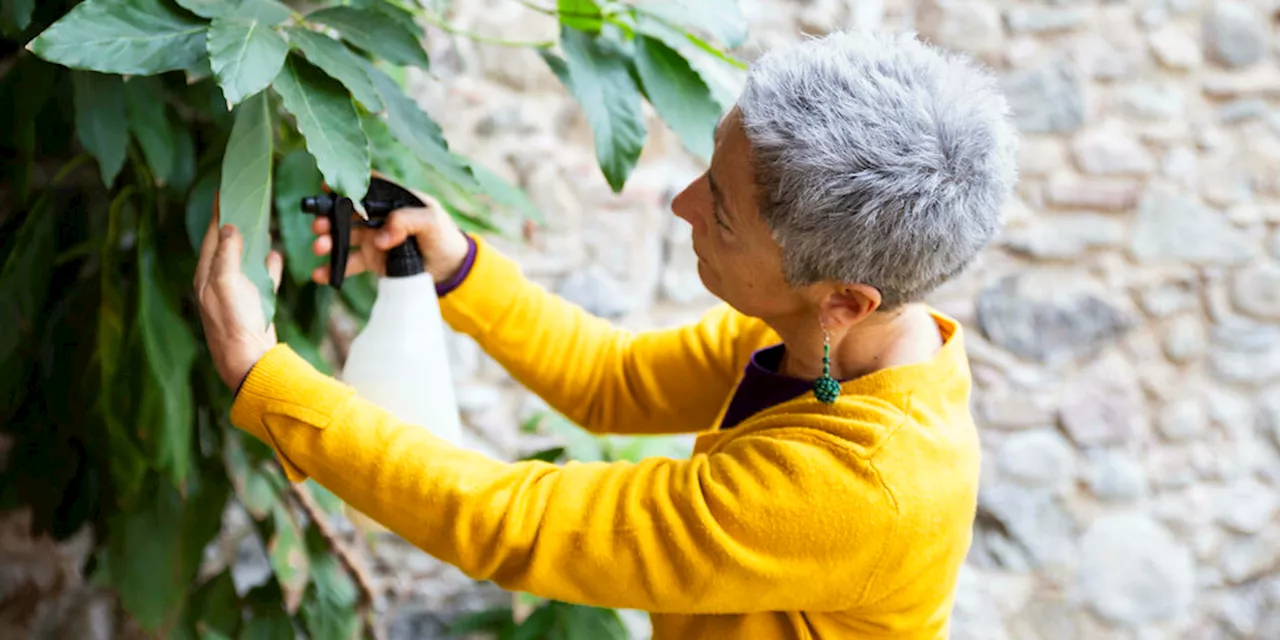 Dating-Müdigkeit in Generation 50+: Frau ab 50 und gerne solo