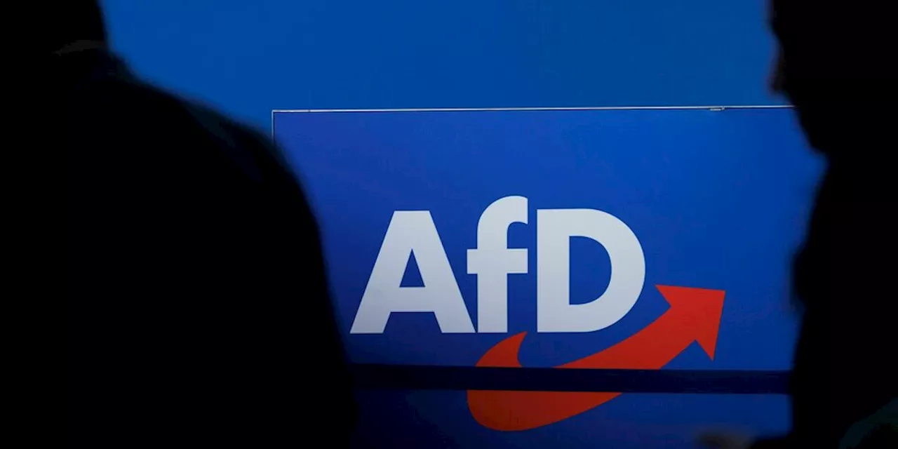 Reaktionen auf AfD-Verbotsantrag: Kritik an AfD-Verbotsplan