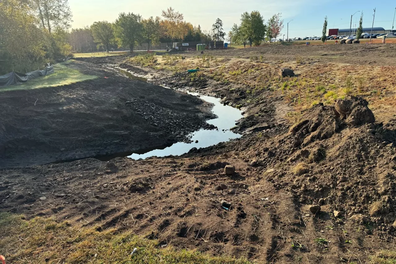 Thunder Bay To Implement Largest Engineered Wetland Project