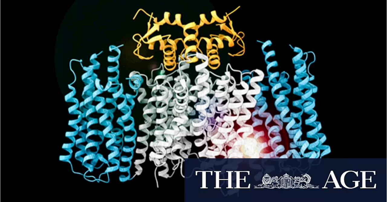 Plant-Like Protein Found in Human Cells Could Lead to New Cancer Treatment