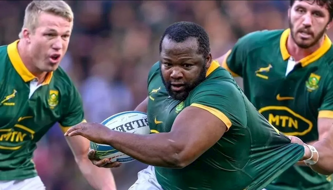 Best of the Boks in 2024