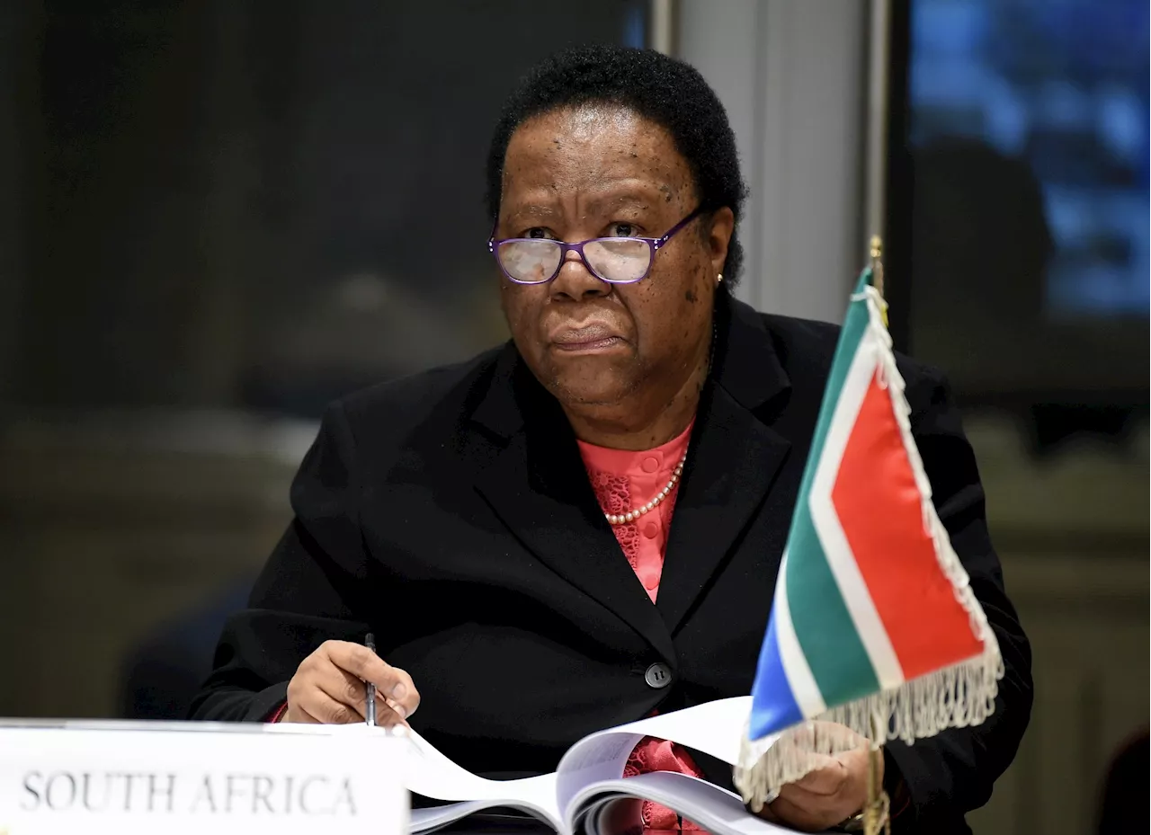 ‘Disappointed, not surprised’: Pandor unmoved by Malema’s ‘cowardly’ VBS apology