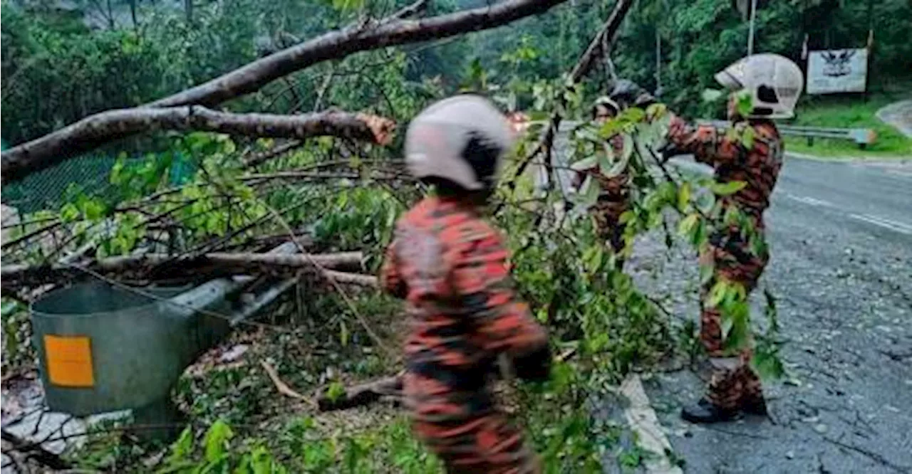 Fallen Trees Cause Traffic Disruption in Selangor and Kuala Lumpur