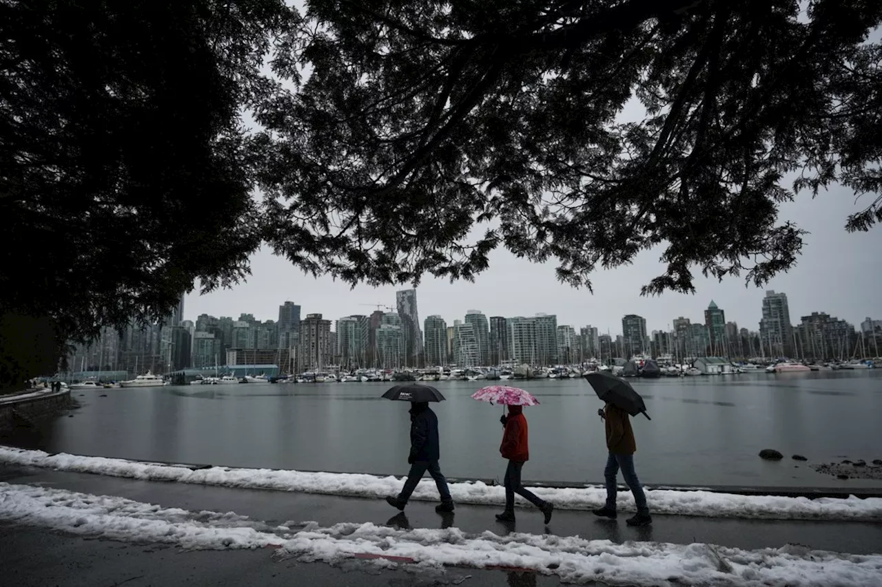 Expected La Nina weather pattern could ease ongoing drought conditions in B.C.