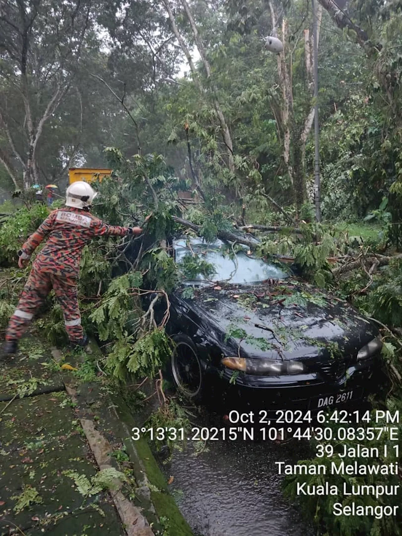 Beberapa kejadian pokok tumbang di Lembah Klang