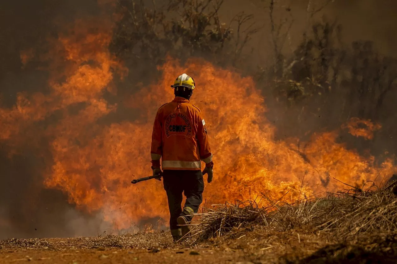 PF deflagra 3 operações e começa a prender suspeitos de envolvimento com queimadas