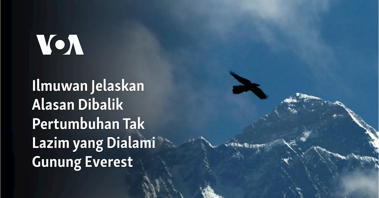 Ilmuwan Jelaskan Alasan Dibalik Pertumbuhan Tak Lazim yang Dialami Gunung Everest