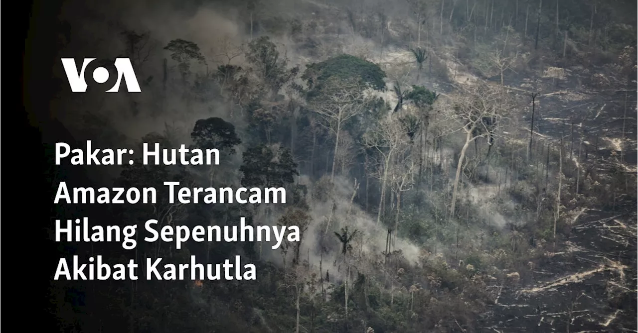 Pakar: Hutan Amazon Terancam Hilang Sepenuhnya Akibat Karhutla