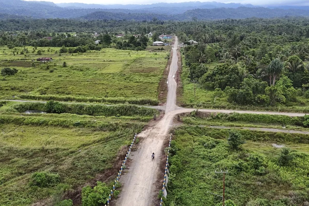 Countries, businesses and trade officials urge EU to rethink deforestation regulation