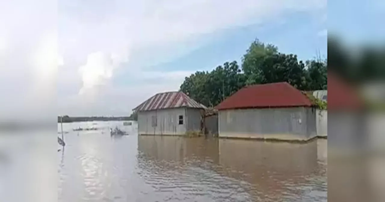 Bihar Flood: कोसी ने मचाई तबाही, जिले के आलमनगर और चौसा प्रखंड के निचले इलाके में घुसा पानी, दो दर्जन से अधिक गांव पानी-पानी