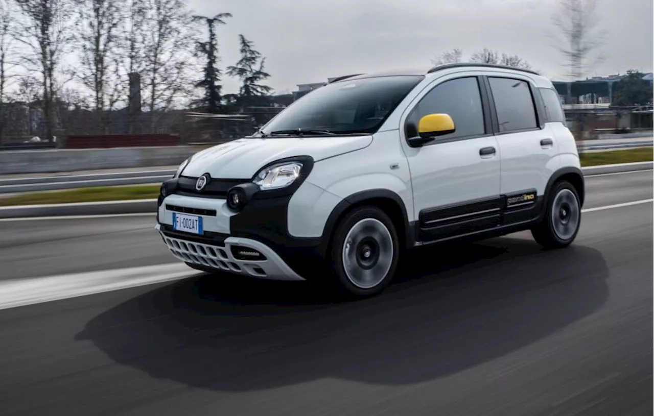 Stellantis met en pause la production de la Fiat Panda