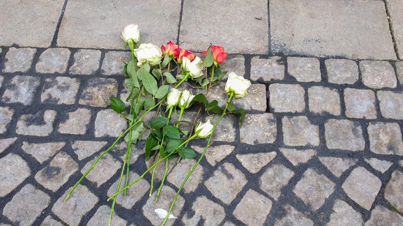 Zeitz: 50.000 Euro Spenden für gestohlene Stolpersteine