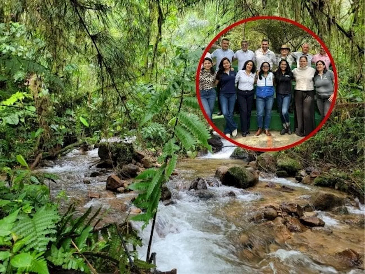 12 negocios verdes de Santander participarán en la COP16