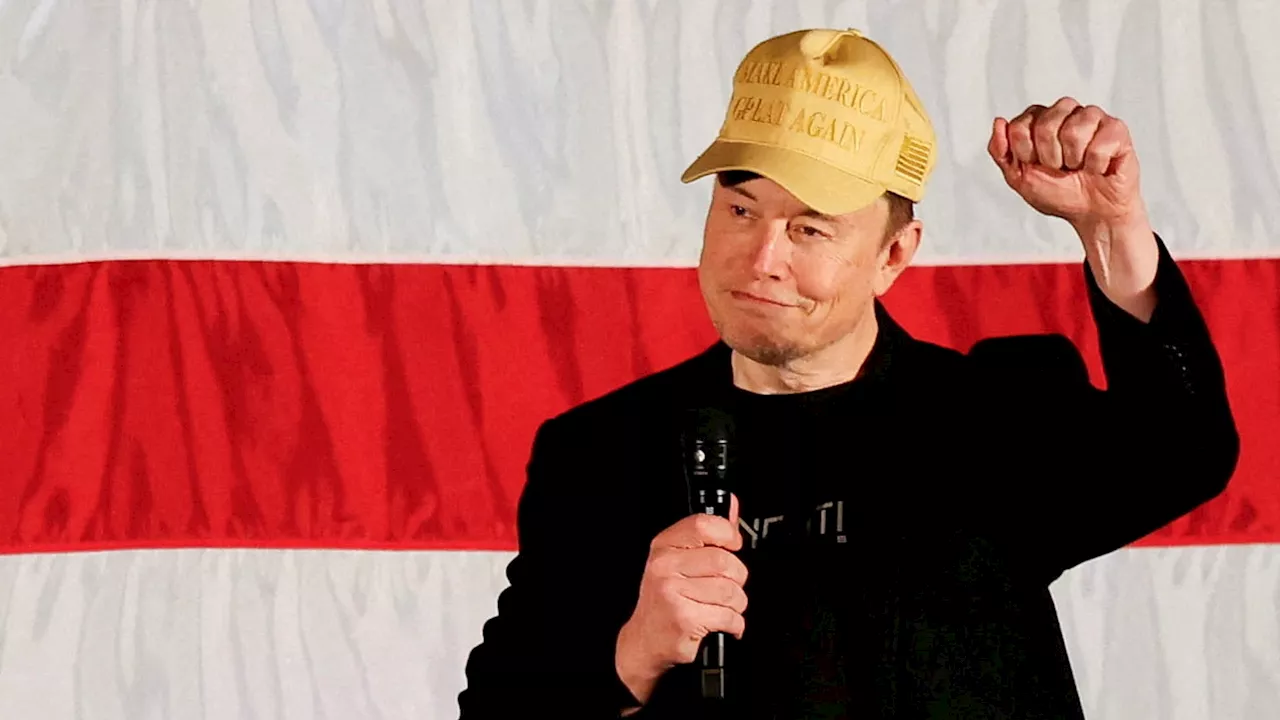 Elon Musk offers $1 million a day to entice swing state voters to sign petition