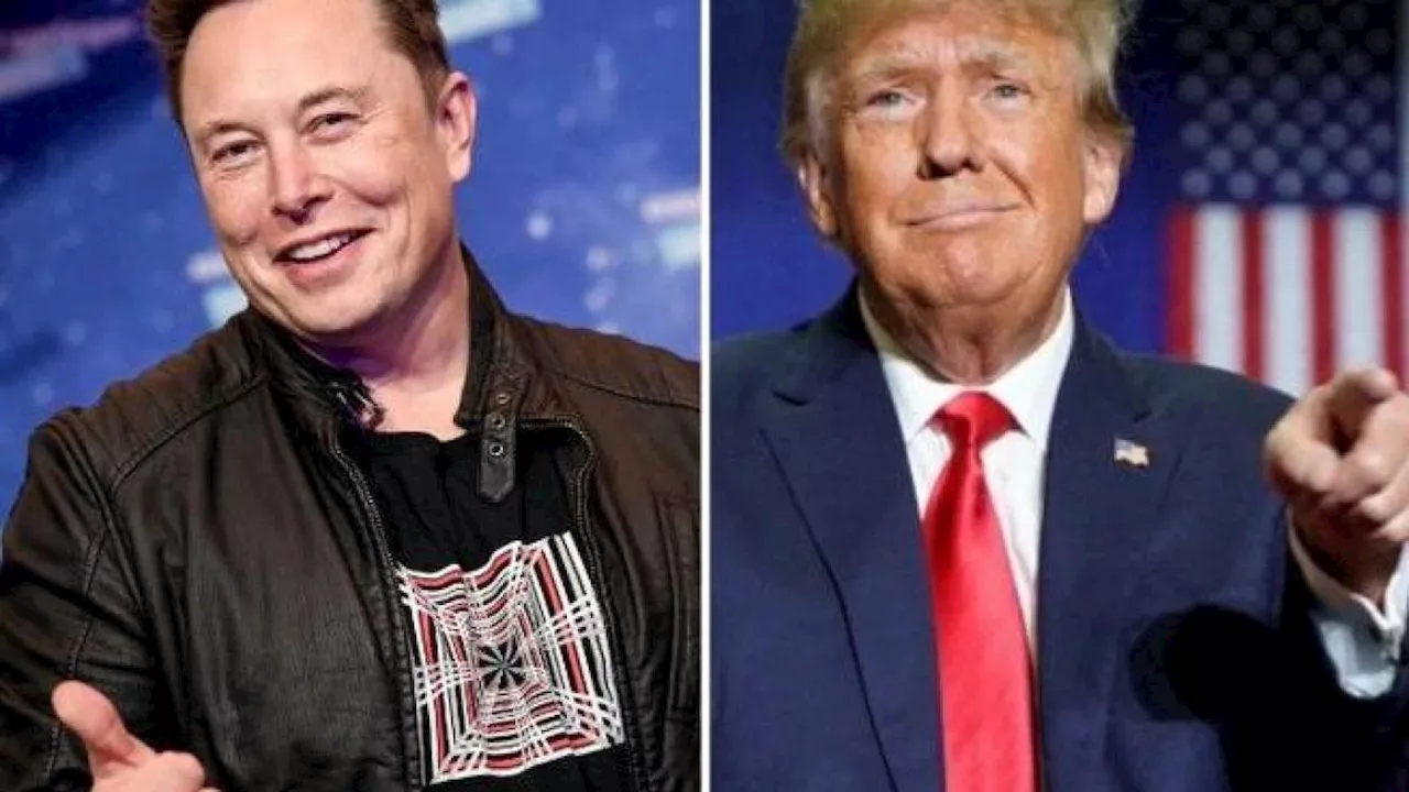 Elon Musk per Donald Trump: «Chi lo sostiene può vincere un milione di dollari al giorno»