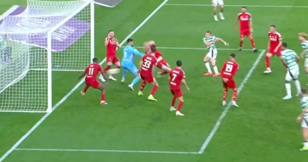 Duk Celtic penalty 'mentalists' eviscerated as ex ref slams Aberdeen conspiracy