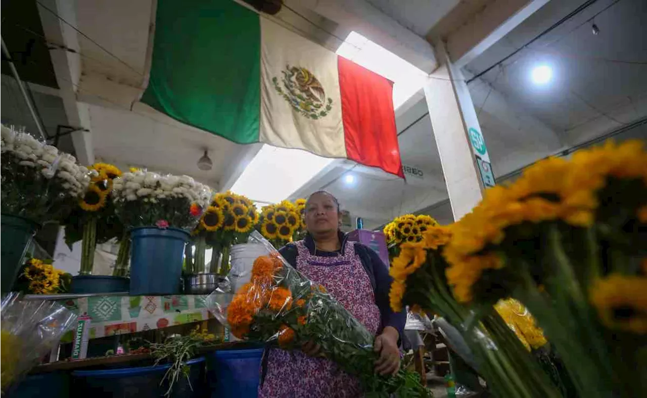 ¿Dónde Comprar Flor De Cempasúchil En CDMX Y Cuál Es Su Significado En ...