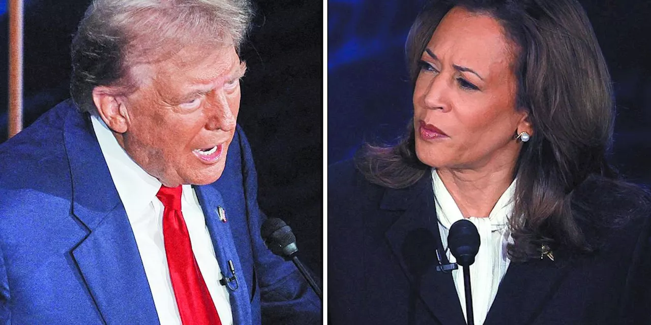 Elecciones en EU 2024: lista de famosos que apoyan a Kamala Harris y Donald Trump