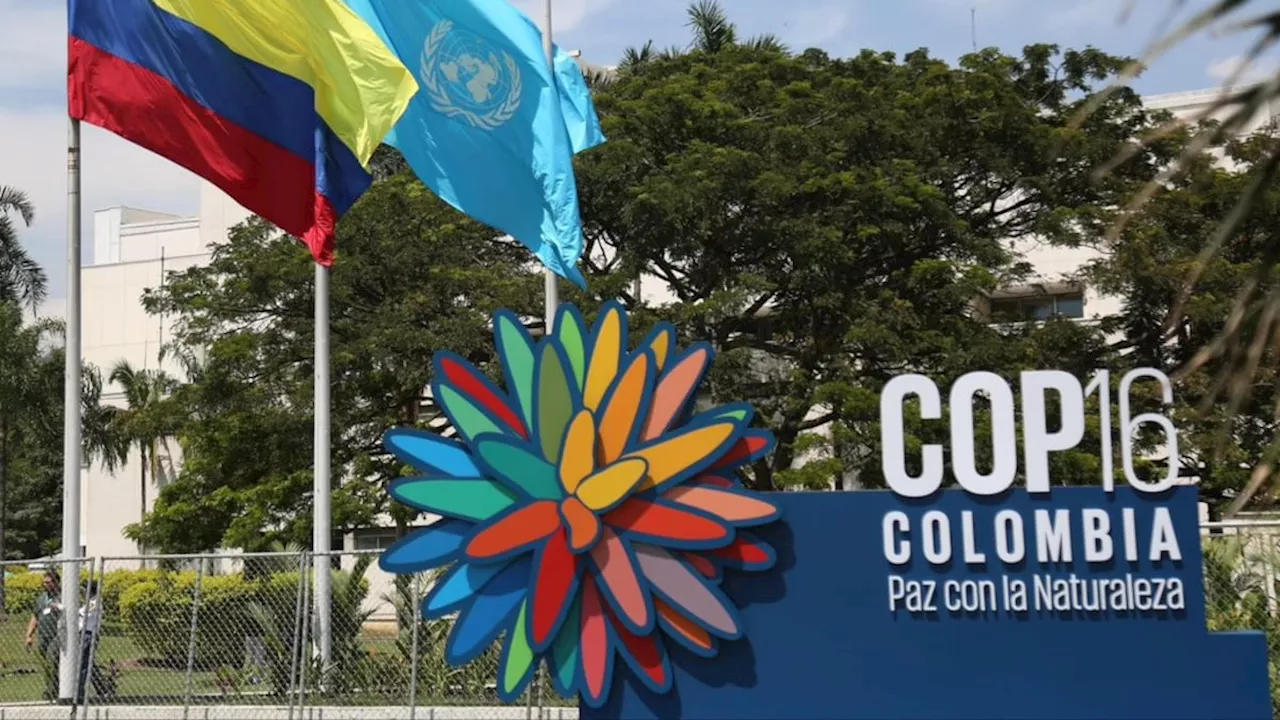 COP16: Buen reto para Colombia (y nuestra obsesión de Familias Guardabosques)