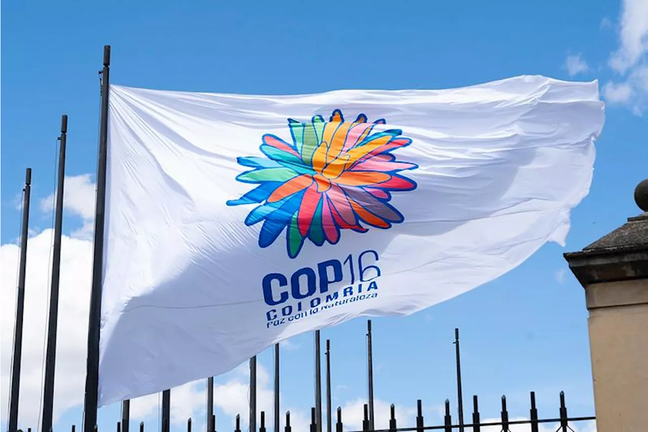 Inauguración COP16 en Cali: siga el minuto a minuto de la cumbre