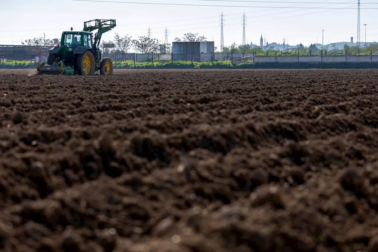 Fiscalía Europea investiga a 104 agricultores y empresarios andaluces por fraude masivo en ayudas agrarias