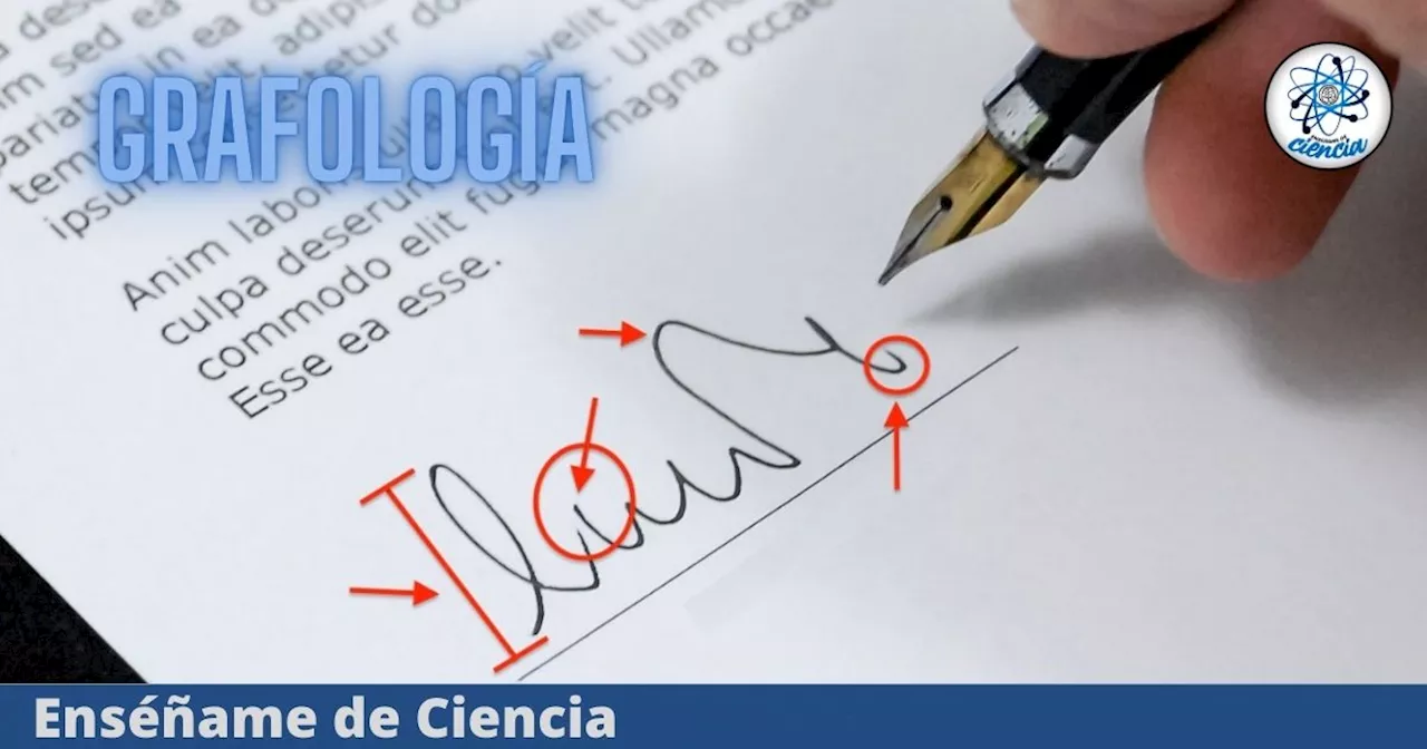 ¿Qué significa que una persona firme recto, según la grafología?