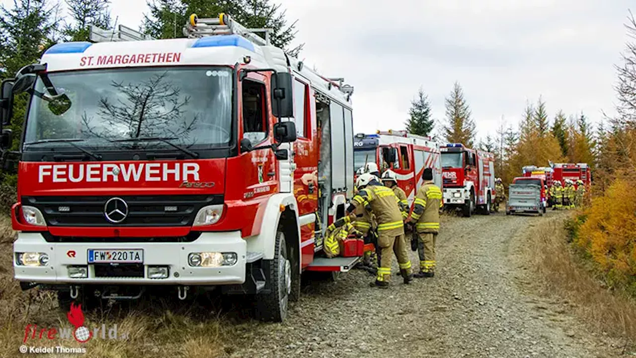 Sbg: Waldbrandübung am Schwarzenberg mit 80 eingesetzten Feuerwehrkräften