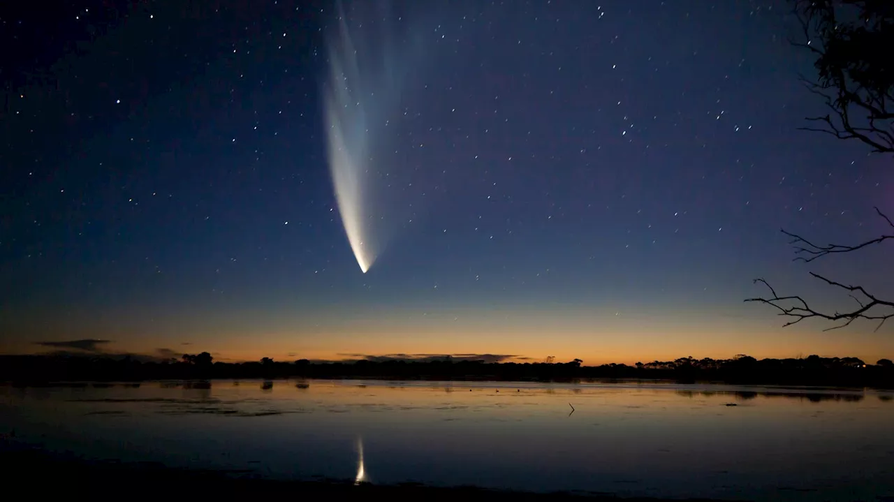 The Truth About The New ‘Halloween Comet’ That Could Shine This Week