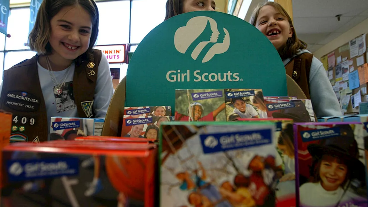 Girl Scouts May Raise Membership Fees By 240%