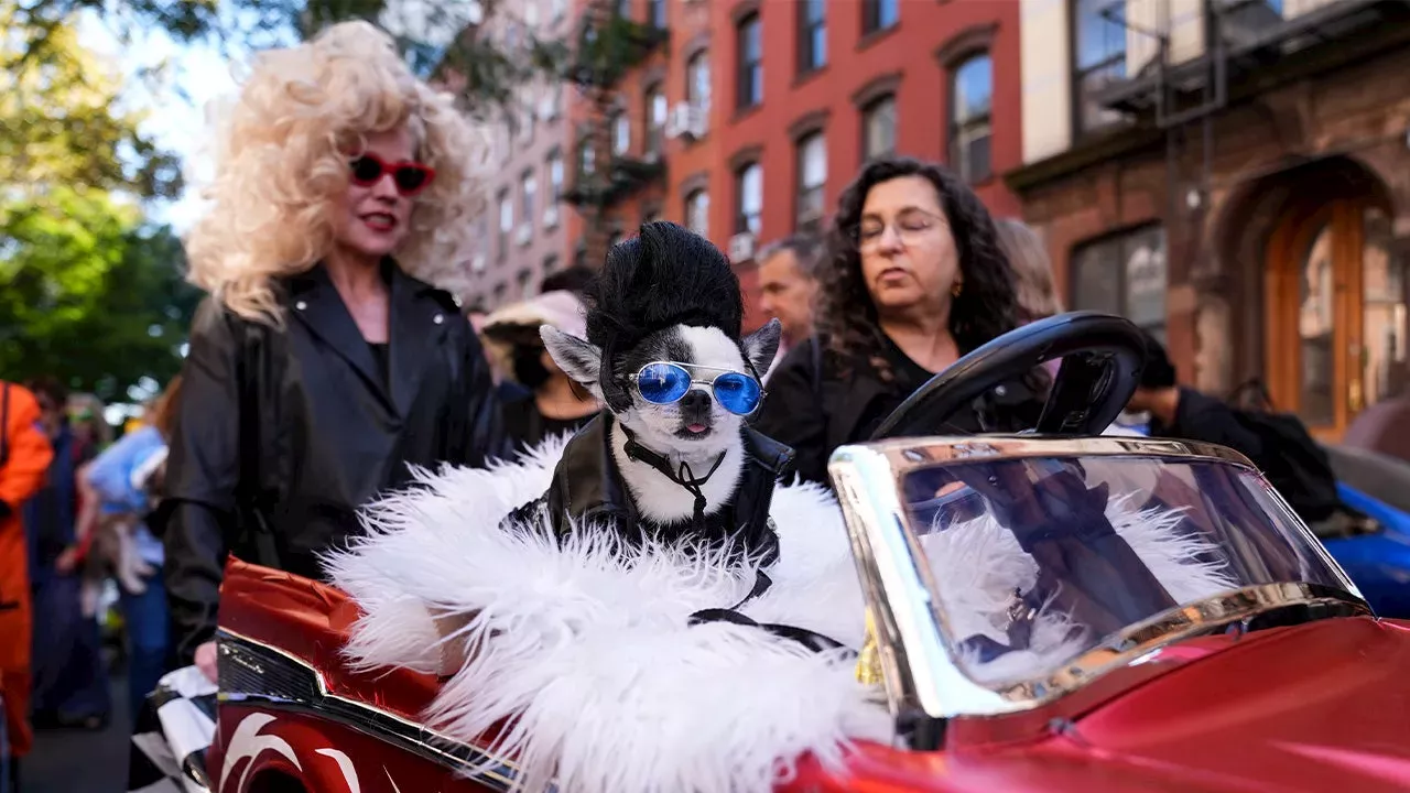 Halloween Dog Parade in Tompkins Square 2024's best canine costumes