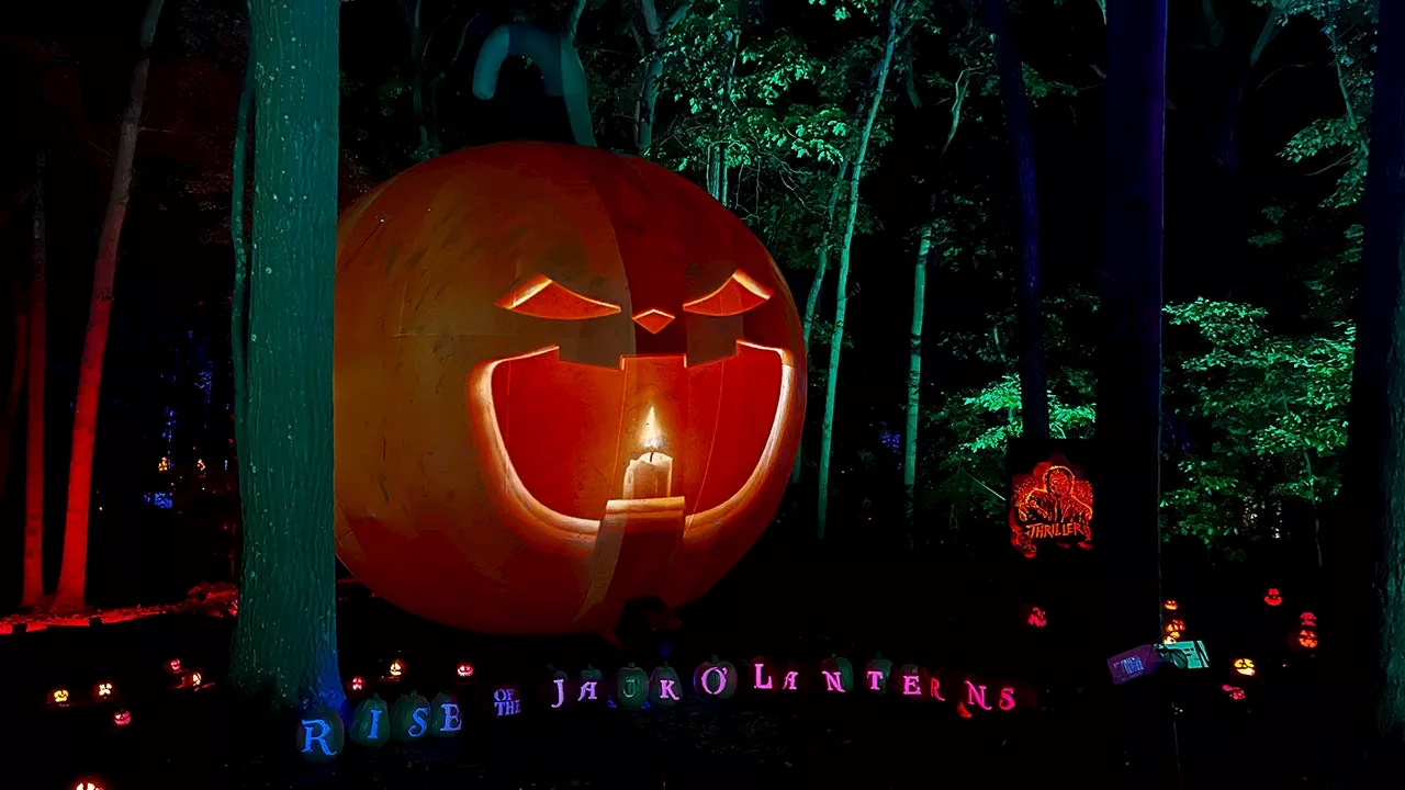 Ultimate guide to fall on Long Island: Jack o'lanterns, festivals, and more