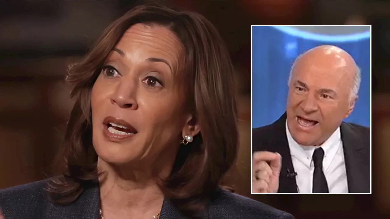 O'Leary calls out Kamala Harris' 'huge miss' for her campaign: This could have been a 'magic moment'