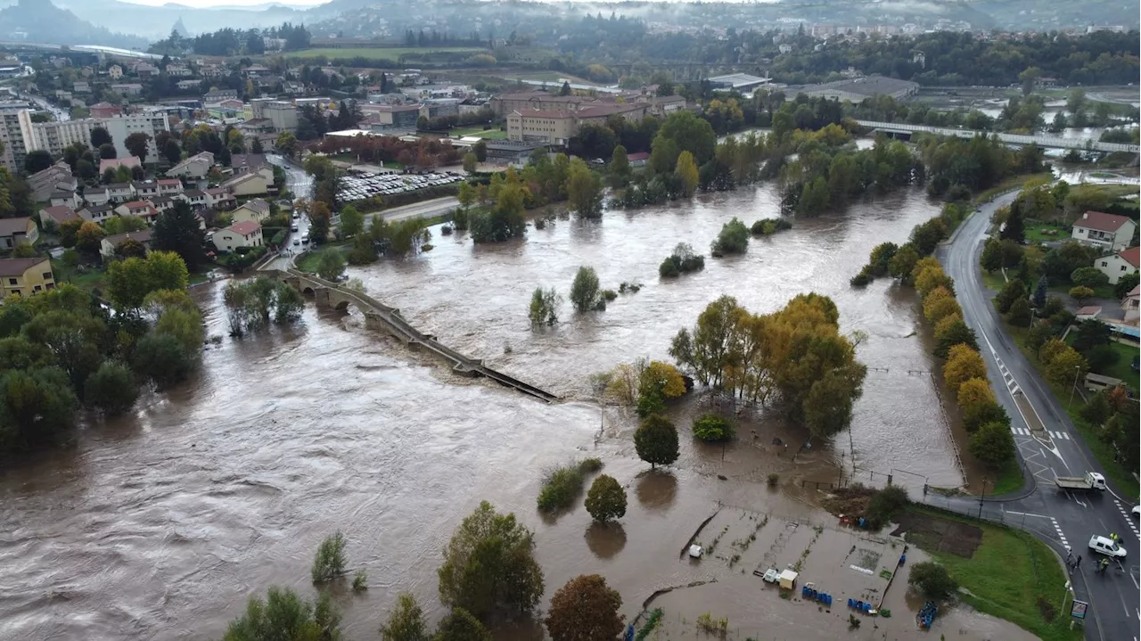 Inondations : la vache Panga, symbole de la crue dévastatrice en Haute-Loire, n'a pas survécu