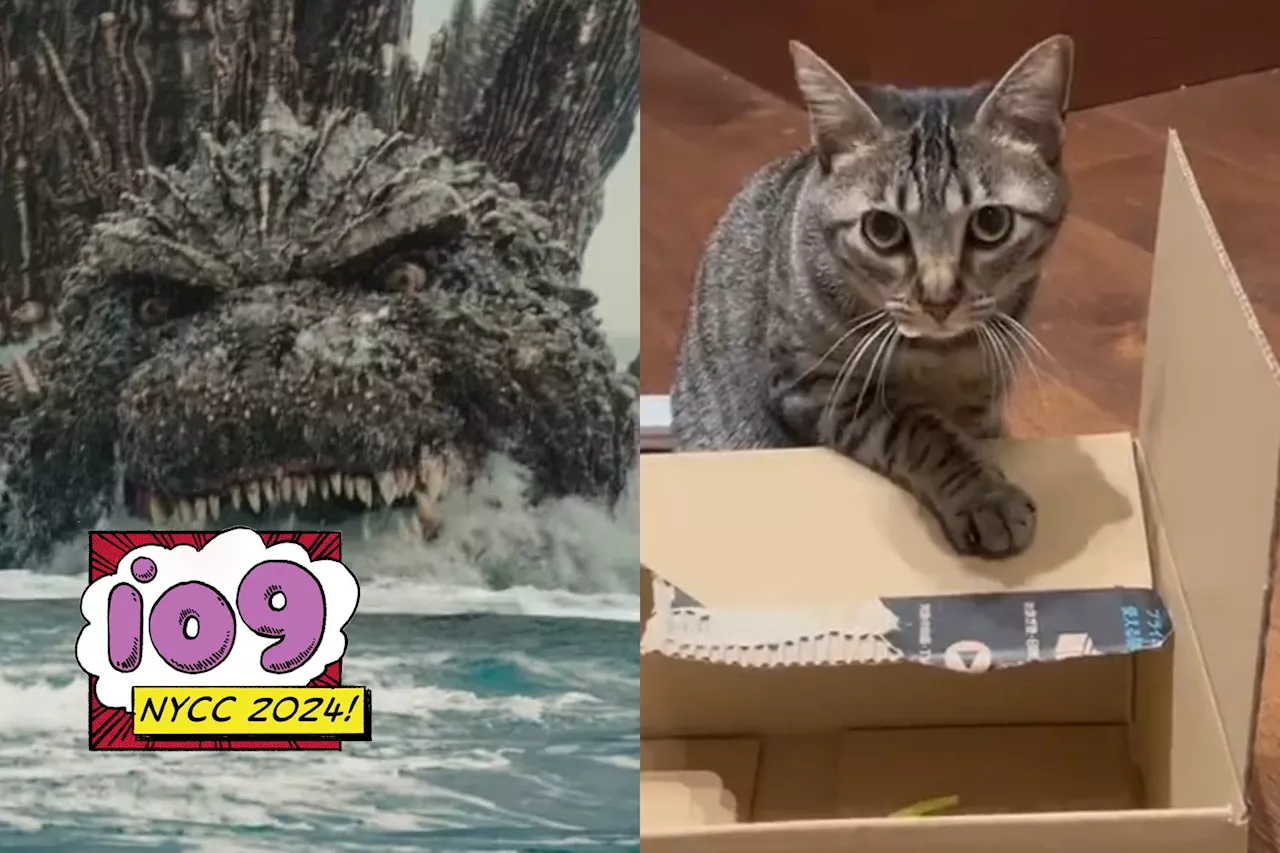 Godzilla Minus One‘s Director Really Wants You to Know He’s a Cat Guy