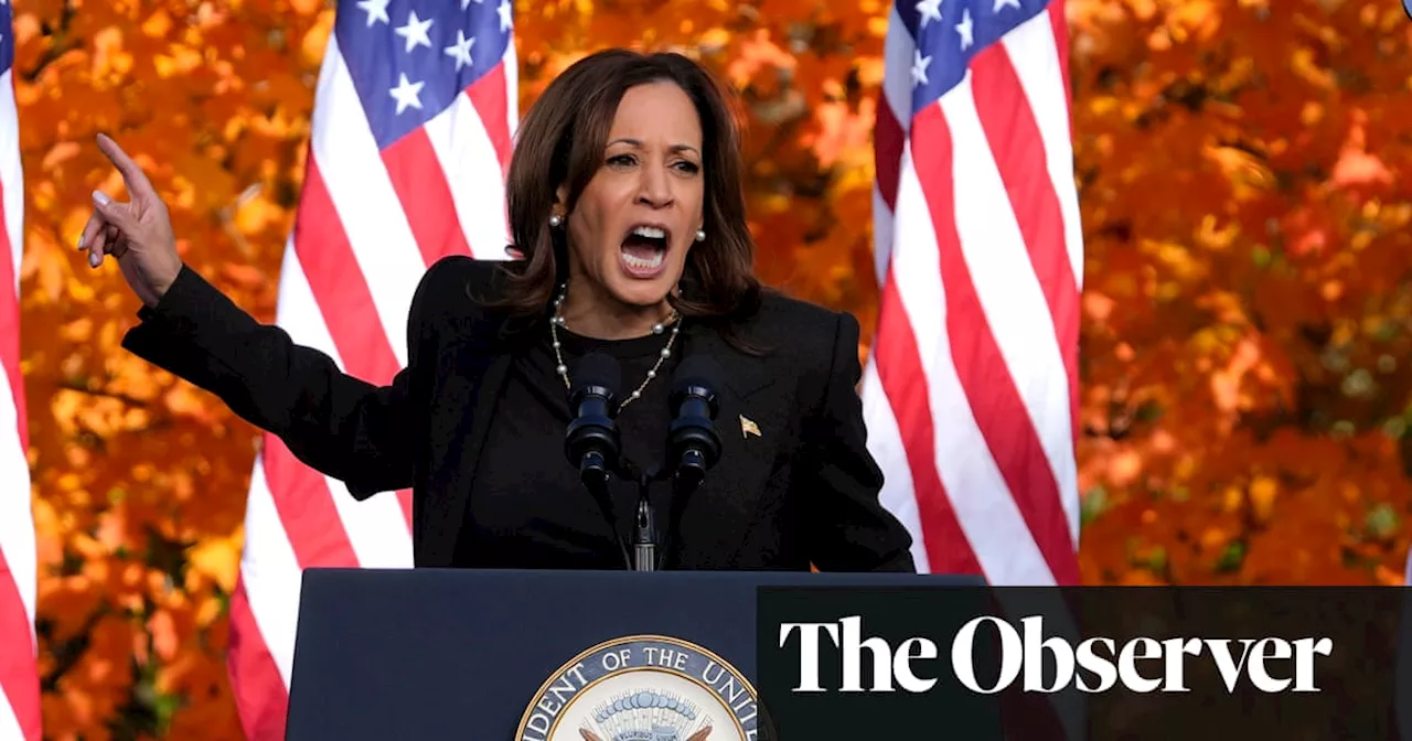 Kamala Harris's Fox News Interview: A Win for Ratings, But For Her Campaign?